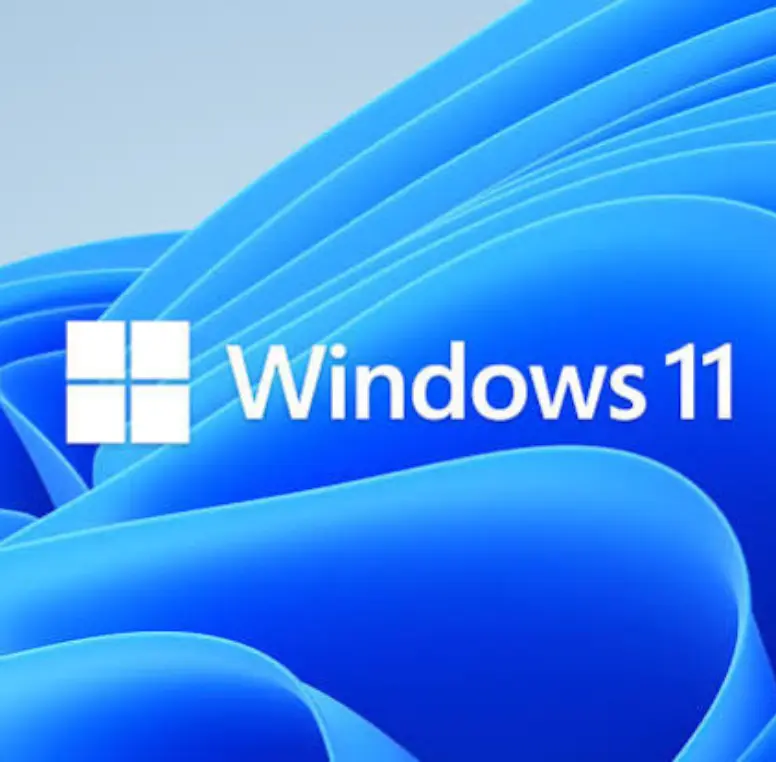 Windows Installation