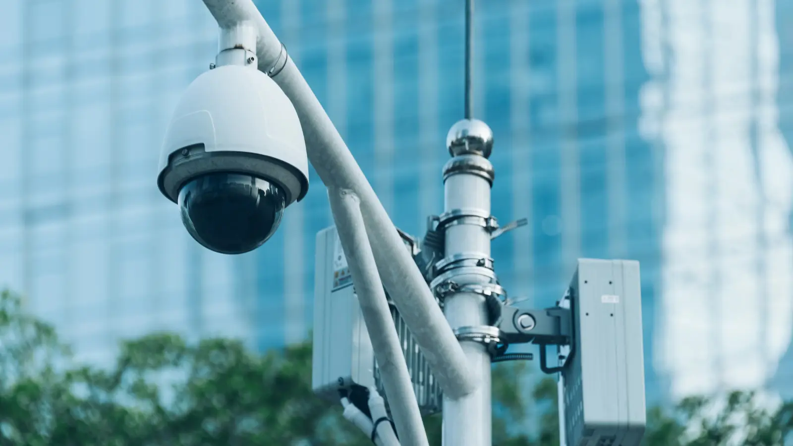 CCTV Security Camera Protection System